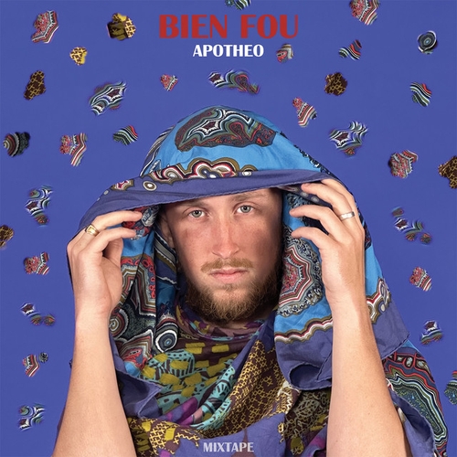 Couverture BIEN FOU de APOTHEO