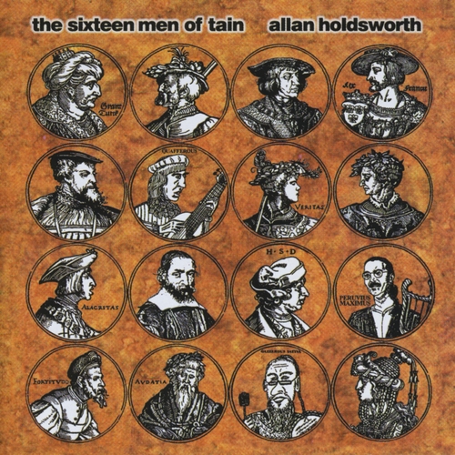 Couverture THE SIXTEEN MEN OF TAIN de Allan HOLDSWORTH