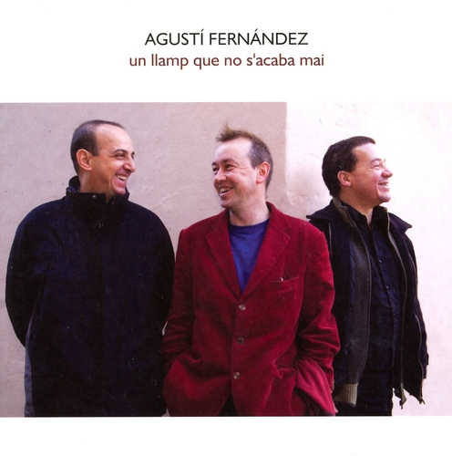 Couverture UN LLAMP QUE NO S'ACABA MAI de Agustí FERNÁNDEZ