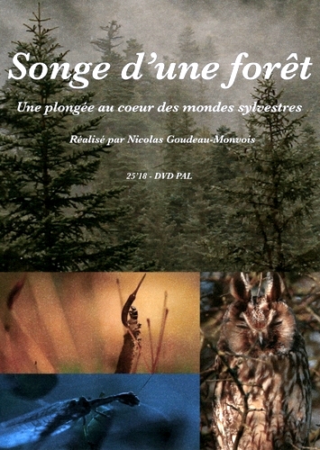 Couverture SONGE D'UNE FORÊT