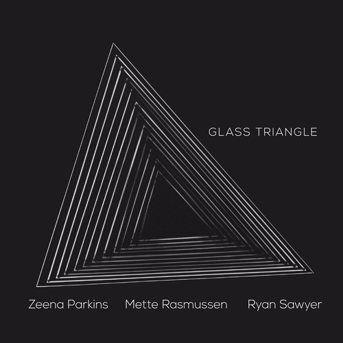 Couverture GLASS TRIANGLE de Zeena PARKINS/RASMUSSEN/SAWYER