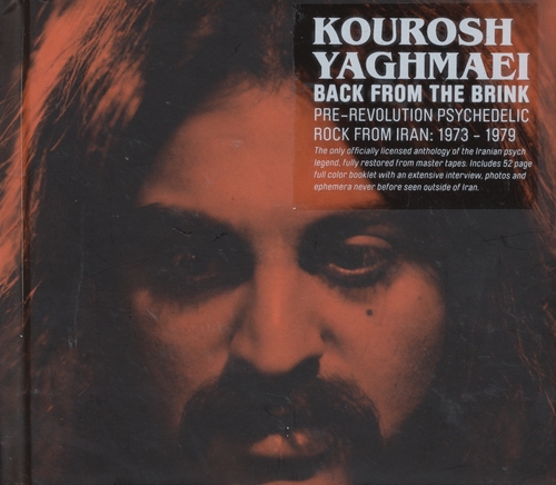 Couverture BACK FROM THE BRINK de Kourosh YAGHMAEI