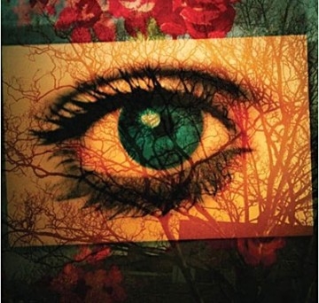 Couverture EVERY DAY IS LIKE THE FIRST DAY de Malka SPIGEL