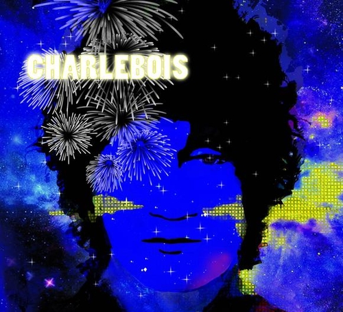 Couverture TOUT EST BIEN de Robert CHARLEBOIS