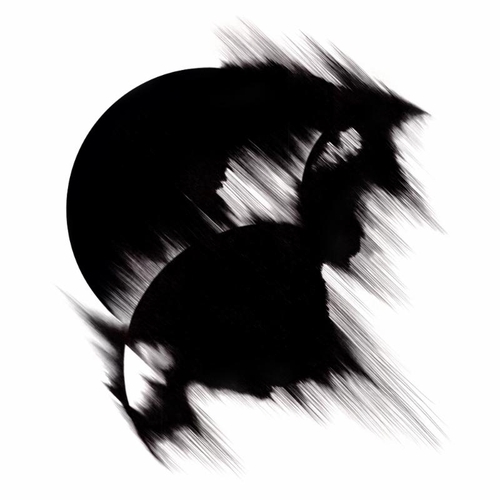 Couverture TUNDRA de LAKKER