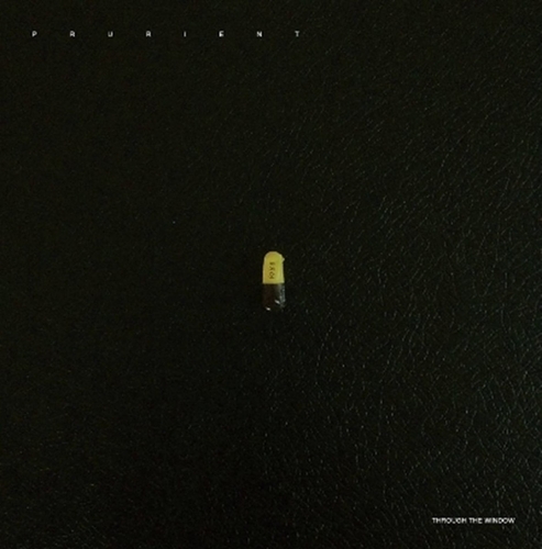 Couverture THROUGH THE WINDOW de PRURIENT