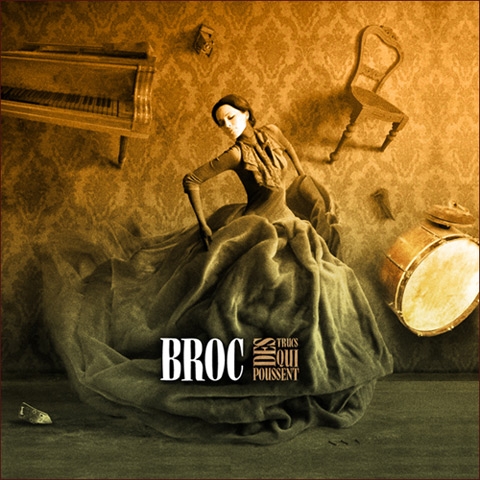 Couverture DES TRUCS QUI POUSSENT de BROC