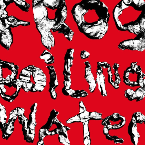 Couverture FROG IN BOILING WATER de DIIV