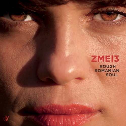 Couverture ROUGH ROMANIAN SOUL de ZMEI3