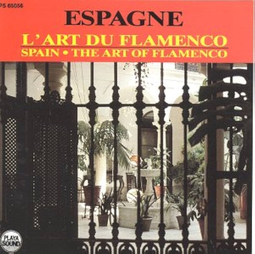 Couverture L'ART DU FLAMENCO