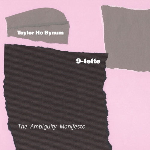 Couverture THE AMBIGUITY MANIFESTO de Taylor Ho BYNUM 9-TETTE
