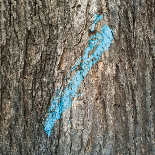 Couverture LOST & COMPILED de Taylor DEUPREE