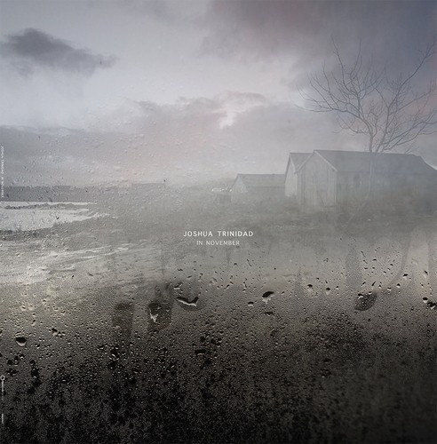 Couverture IN NOVEMBER de Joshua TRINIDAD