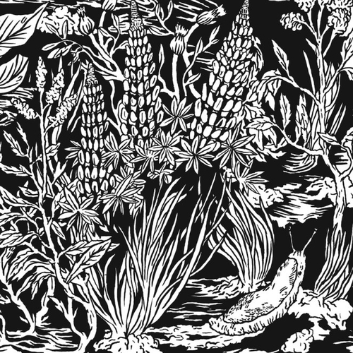 Couverture WILD STRAWBERRIES de ETERNAL TAPESTRY