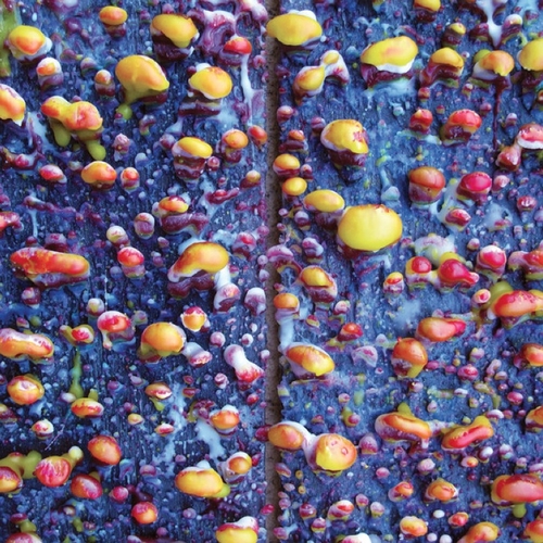 Couverture PICK A PIPER de PICK A PIPER