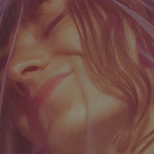 Couverture CELEBRATE de Maud HALO