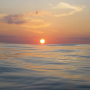 Couverture K20 de KANDODO