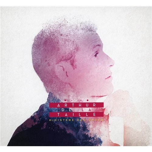 Couverture MINISTÈRE DES ONDES de Arthur DE LA TAILLE