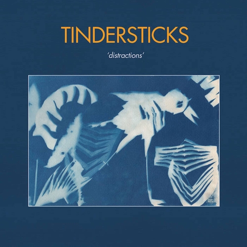 Couverture DISTRACTIONS de TINDERSTICKS