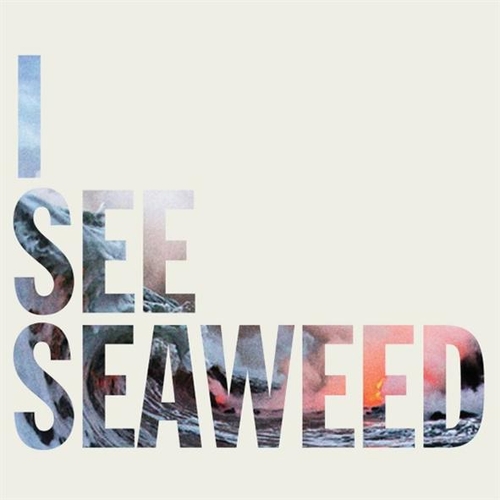 Couverture I SEE SEAWEEED de THE DRONES