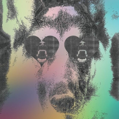 Couverture BOYS de CROCODILES (USA)