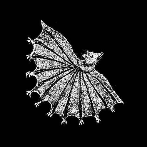 Couverture IGNORE GRIEF de XIU XIU