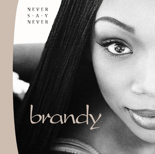 Couverture NEVER SAY NEVER de BRANDY