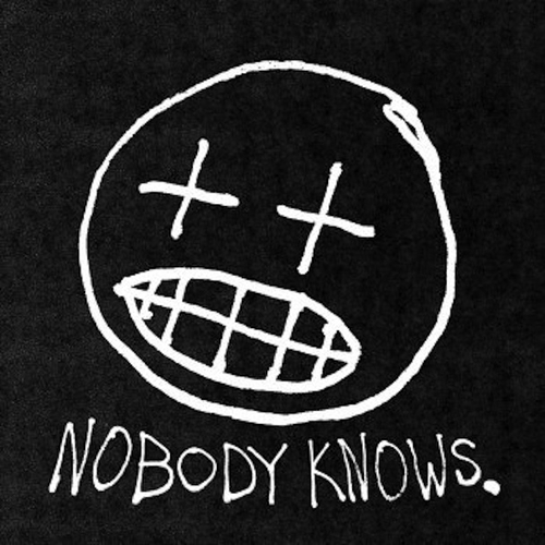Couverture NOBODY KNOWS de Willis Earl BEAL