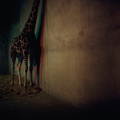 Couverture ALIEN ENSEMBLE 2 de ALIEN ENSEMBLE