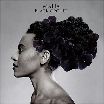 Couverture BLACK ORCHID de MALIA