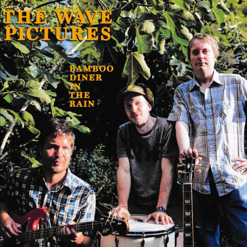 Couverture BAMBOO DINER IN THE RAIN de THE WAVE PICTURES