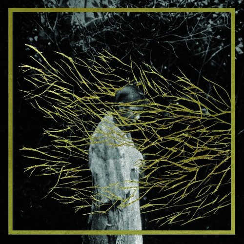 Couverture ENGRAVINGS de FOREST SWORDS