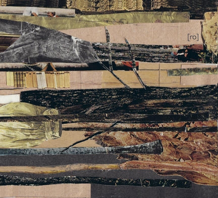 Couverture (RO) de (RO) - (HANNES BUDER/HANNES LINGENS)