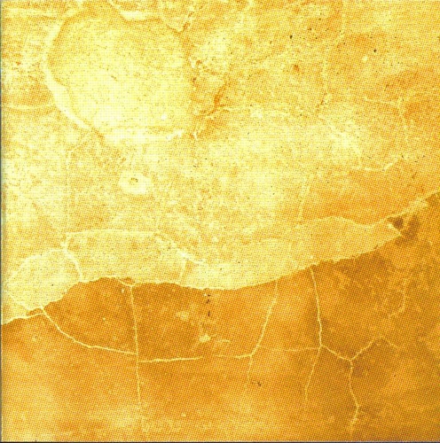 Couverture FIELDS HAVE EARS de Michael PISARO