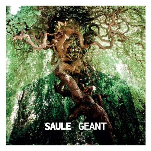 Couverture GEANT de SAULE