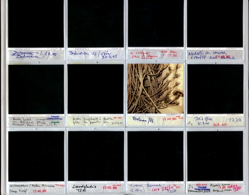 Couverture A SHORT HISTORY (CONTEMPORARY ART & SOUND SERIES 2000-2006)