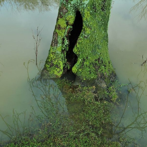 Couverture LES VARIÉTÉS de Emmanuel TUGNY & THE LADY GUAIBA'S SWING BAND