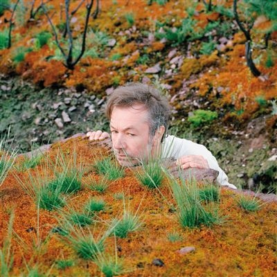 Couverture THE MUSHROOM TYPE de FABIOLA