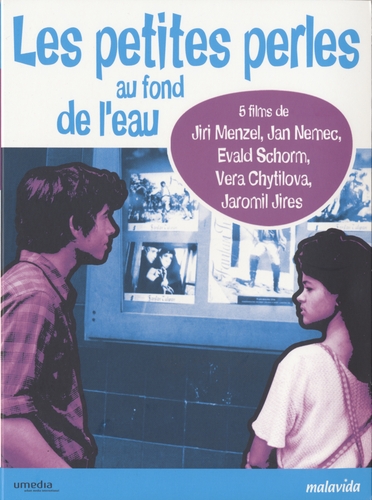Couverture LES PETITES PERLES AU FOND DE L'EAU de Jiri MENZEL