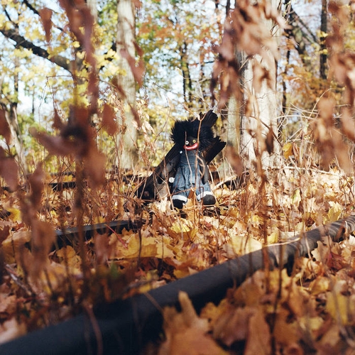 Couverture GOLLYWOG de Billy WOODS