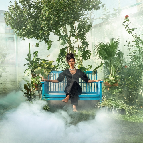 Couverture SHAPES IN TWILIGHTS OF INFINITY de ESINAM