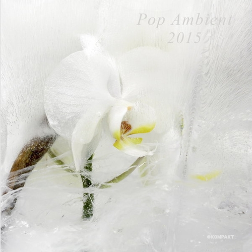 Couverture POP AMBIENT 2015