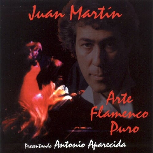 Couverture ARTE FLAMENCO PURO de Juan MARTIN