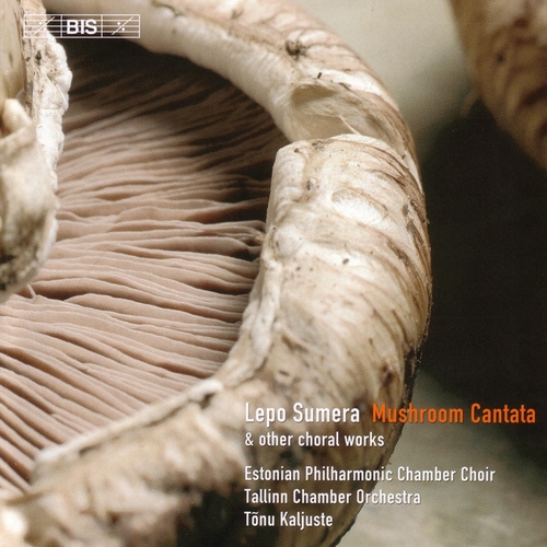 Couverture MUSHROOM CANTATA / CONCERTO PER VOCI E STRUMENTI / THOUGH YO de Lepo Androvitch SUMERA