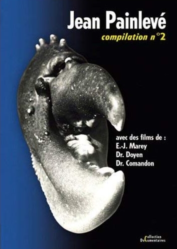 Couverture JEAN PAINLEVÉ - COMPILATION n°2