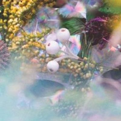 Couverture SUM/ONE de BEEDEEGEE