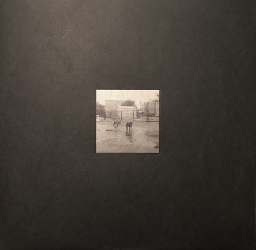 Couverture AFTER IT'S OWN DEATH de NIVHEK