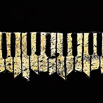 Couverture THE UGLY ORGAN (DELUXE EDITION) de CURSIVE