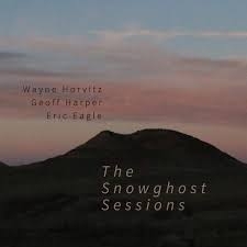 Couverture SNOWGHOST de Wayne HORVITZ