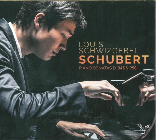 Couverture SONATE PIANO 19 D.958 / 16 D.845 de Franz SCHUBERT